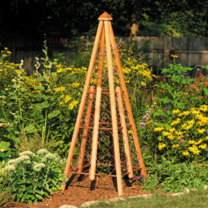Alternative view of Copper Trellis