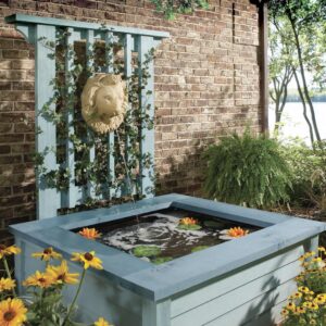 Alternative view of Pond in a Box