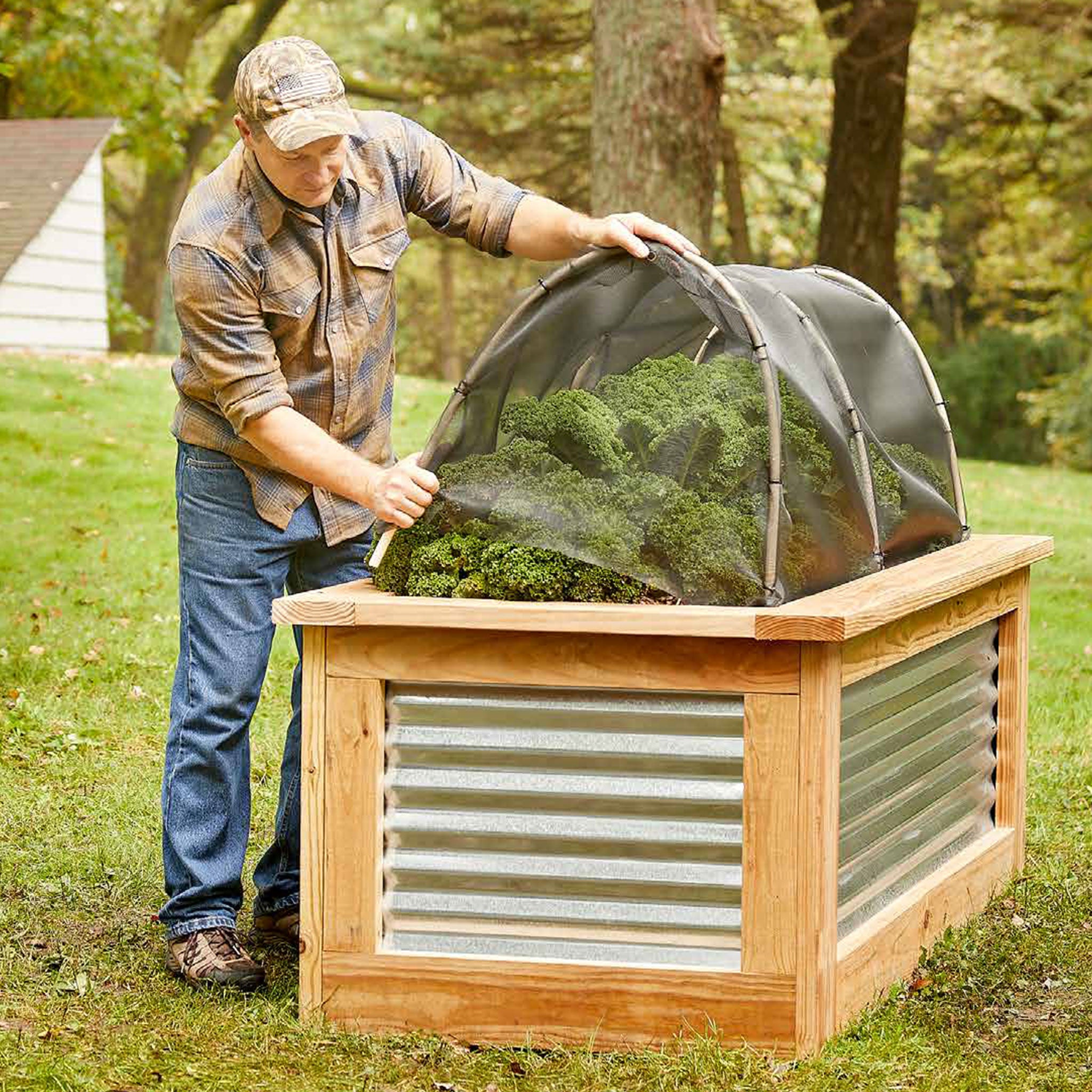 Raised Garden Beds - Image 2