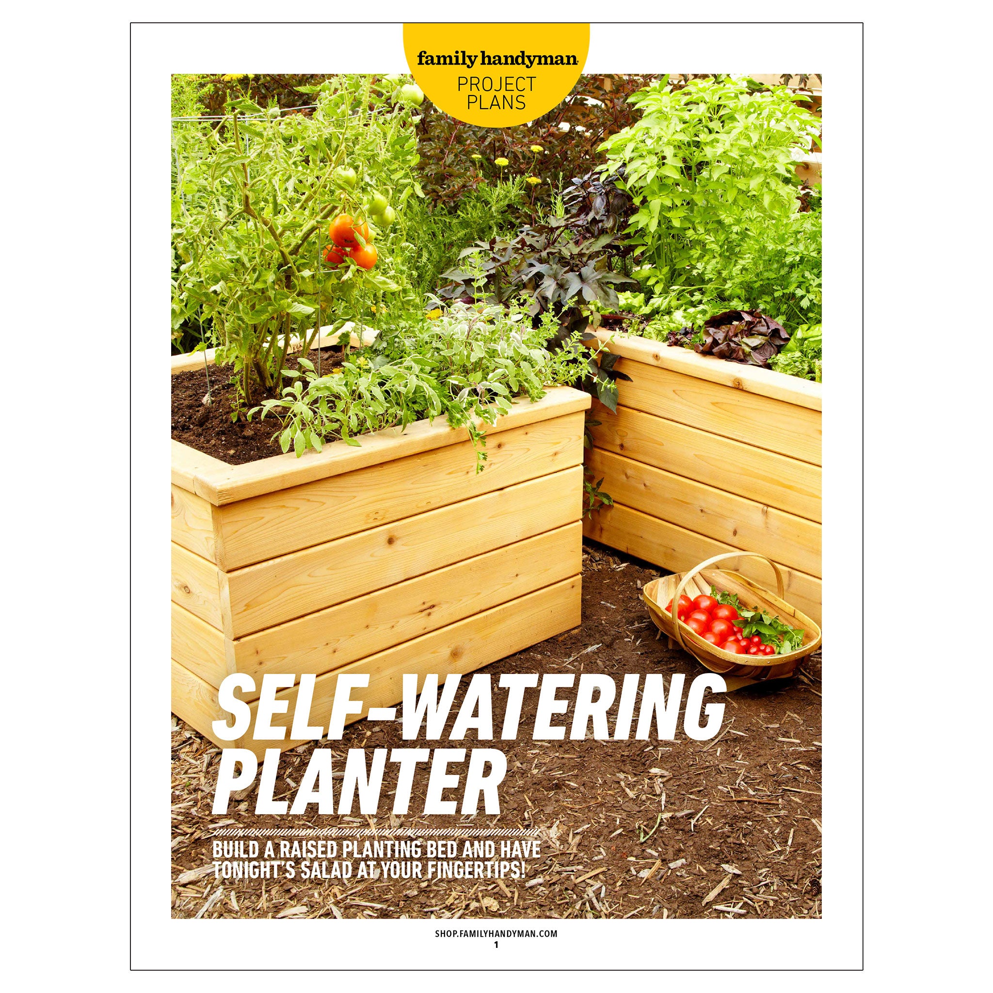 Self Watering Planter