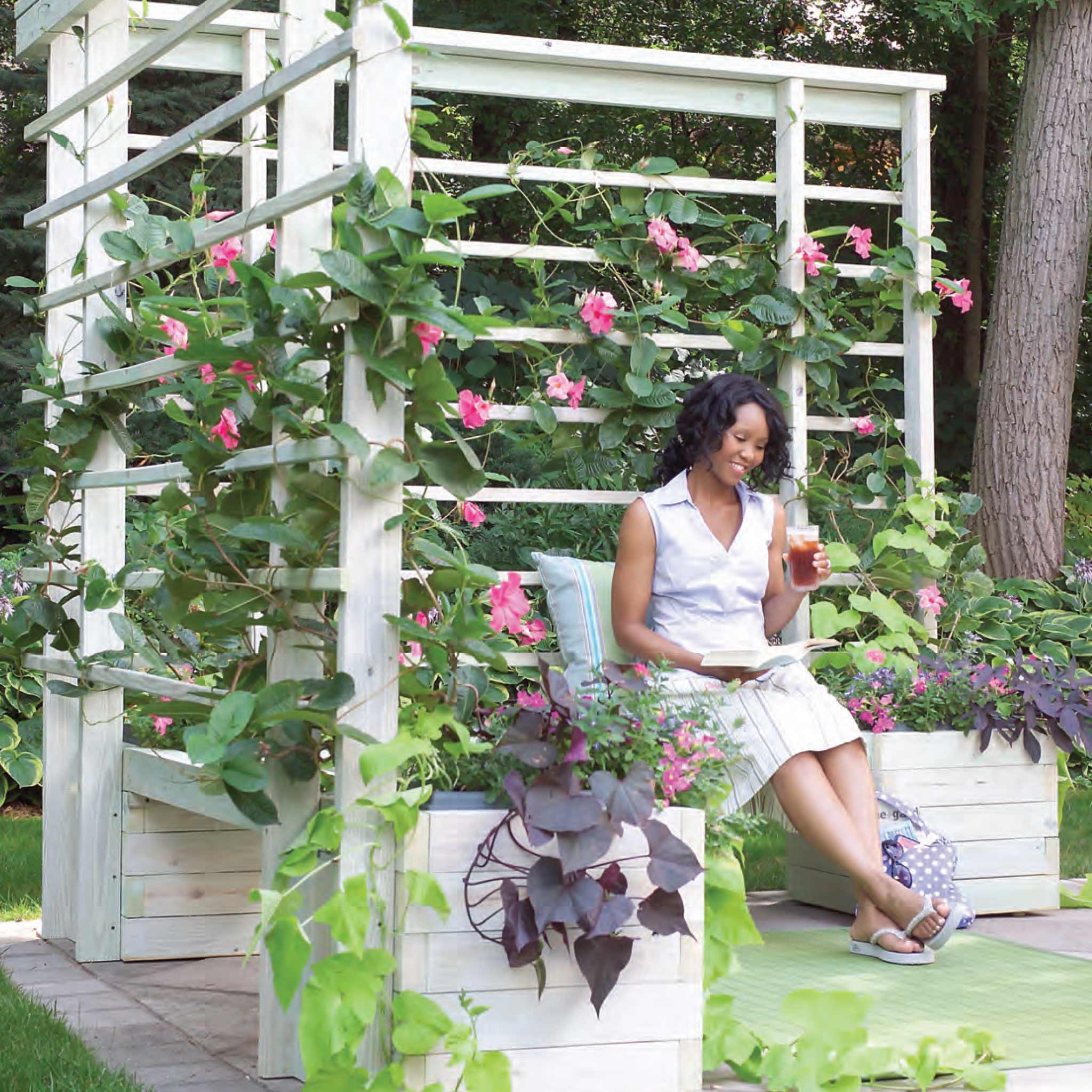 Summer Sanctuary Trellis & Benches - Image 2